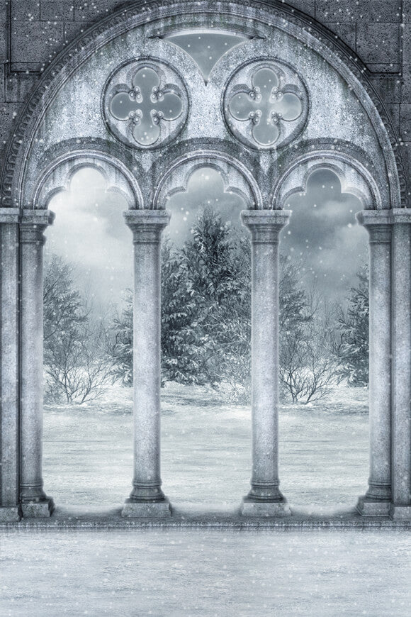 Hiver Château Terrasse Neige Paysage Toile de fond M11-02