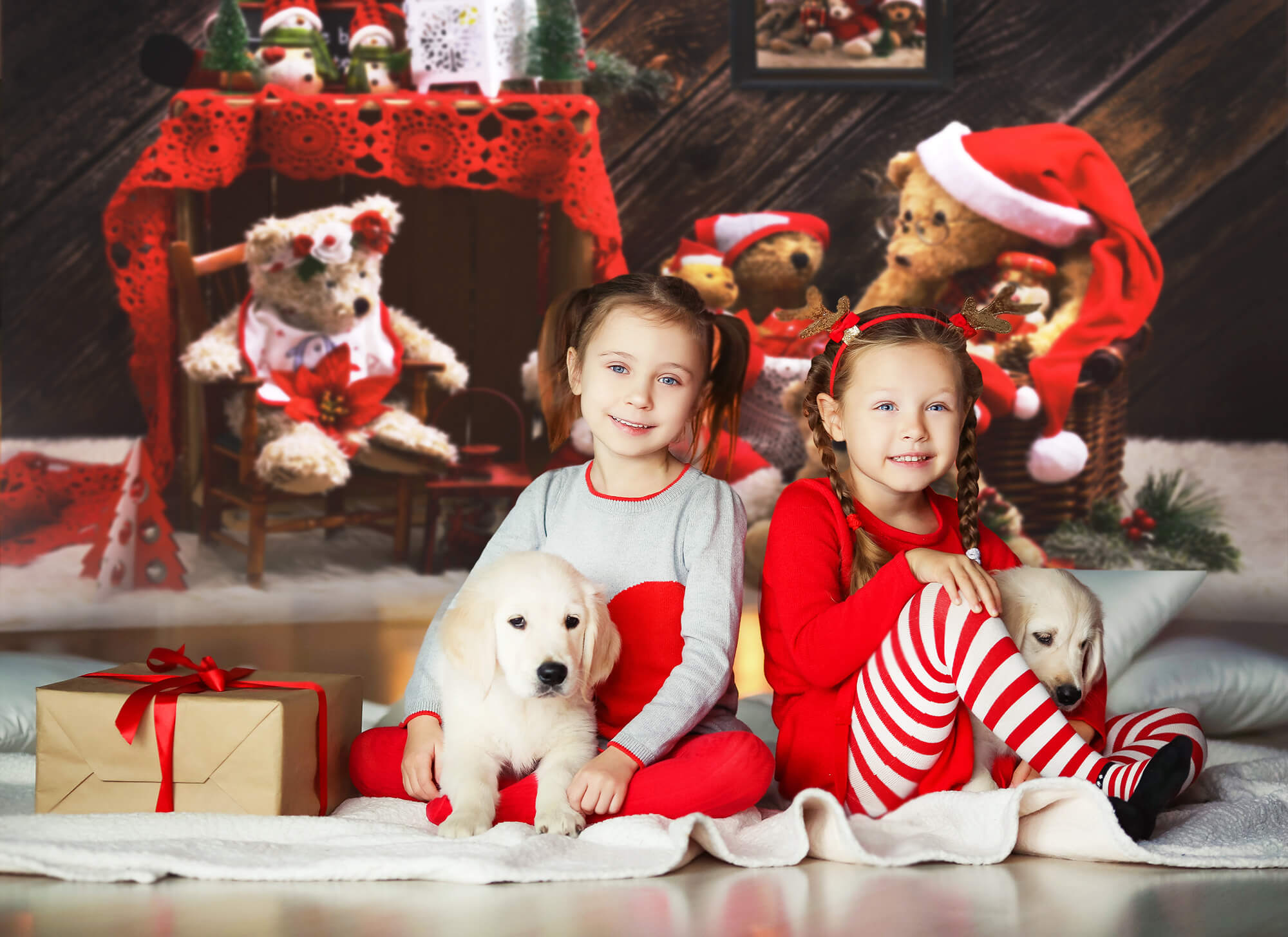 Nounours de Noël Toile de fond pour la photographie M11-08