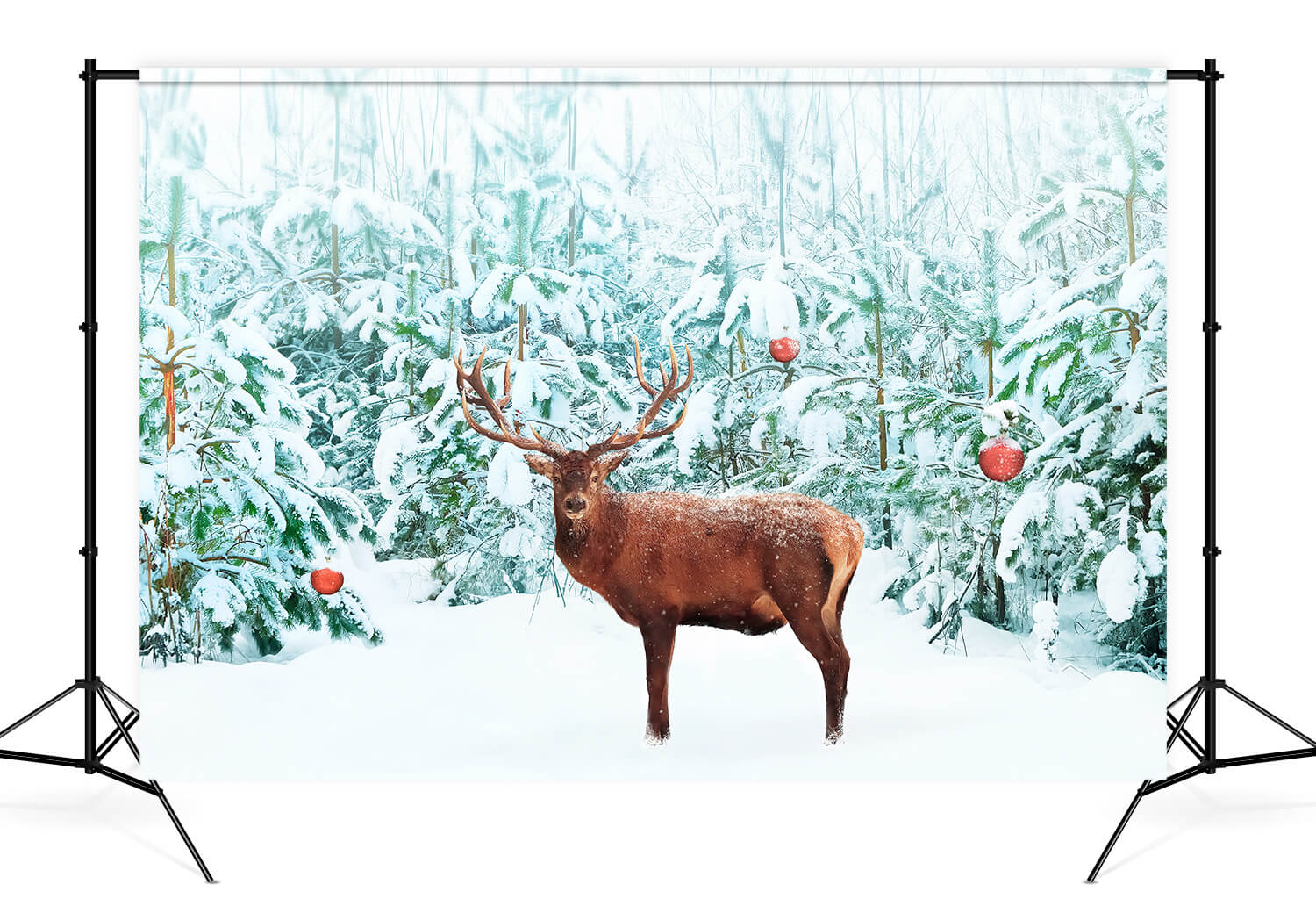 Noble Cerf Rouge Hiver Neige Forêt Toile de fond M11-14