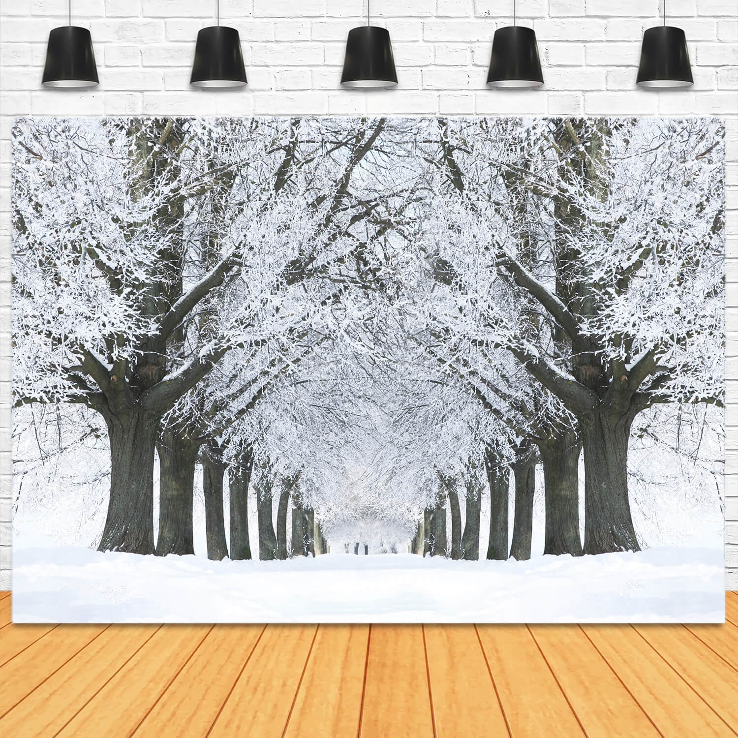 Hiver Route enneigée Arbres gelés Toile de fond M11-17