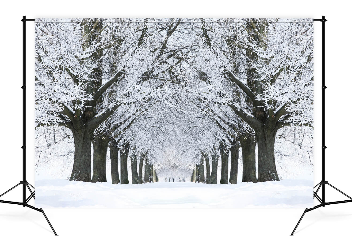 Hiver Route enneigée Arbres gelés Toile de fond M11-17
