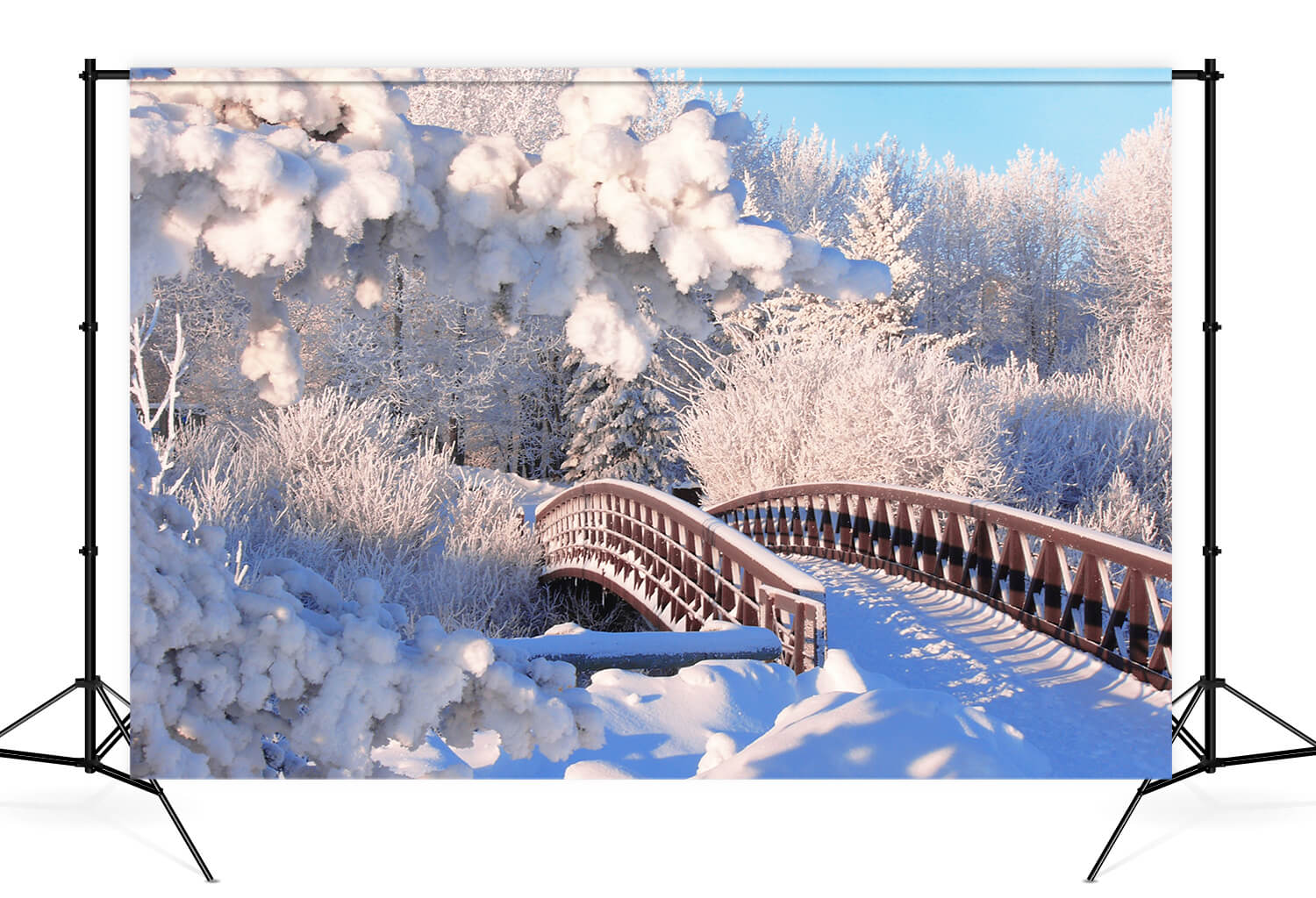 Neige d'hiver Forêt de pins Pont Toile de fond M11-18