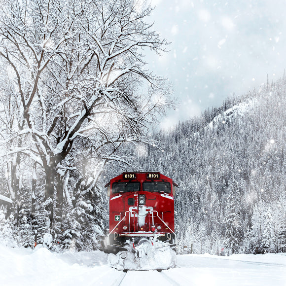 Hiver Forêt enneigée Train Toile de fond M11-30