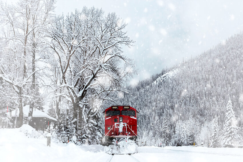 Hiver Forêt enneigée Train Toile de fond M11-30