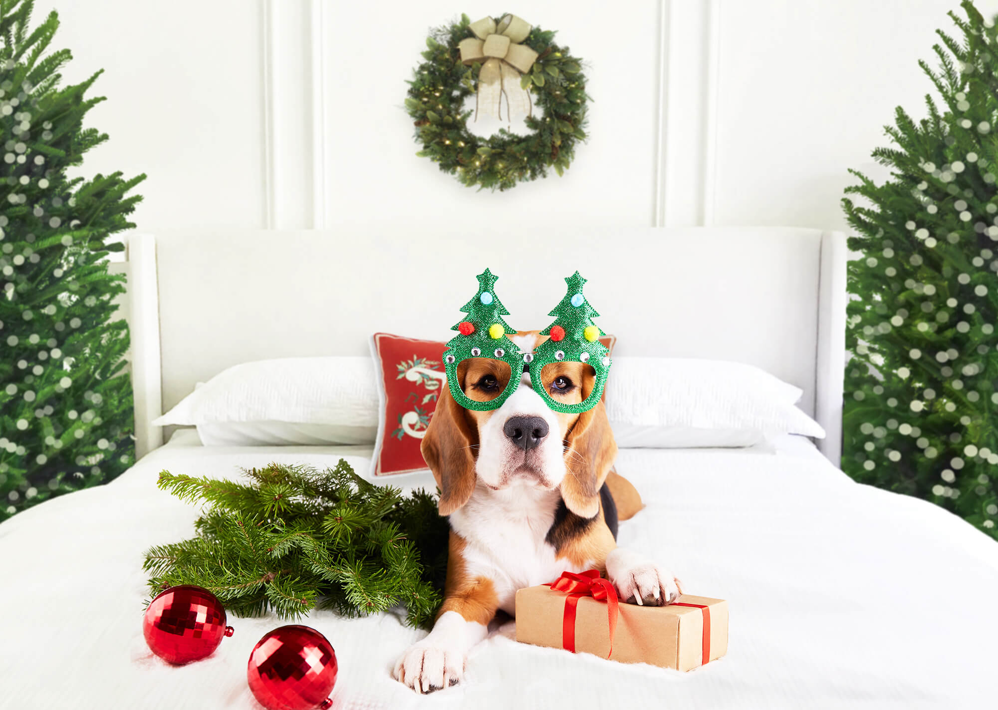 Tête de lit de Noël Rétro Mur Blanc Toile de fond M11-40