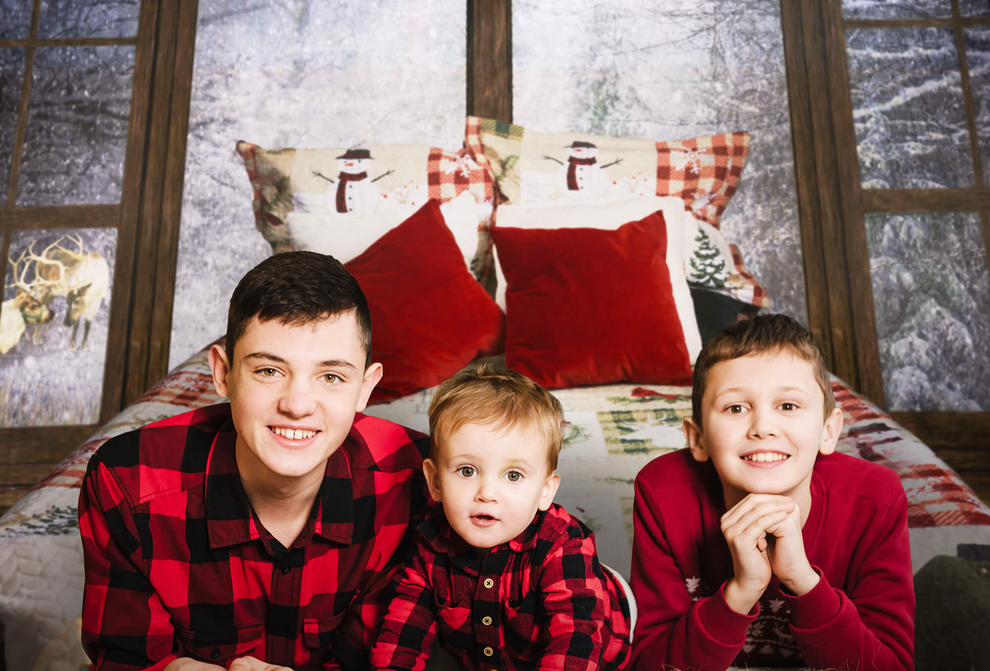 Fenêtre enneigée d'hiver Noël Lit Toile de fond M11-41