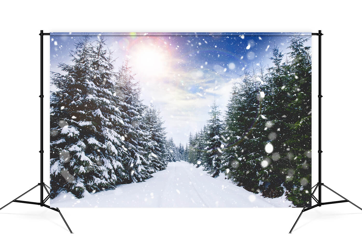 Forêt d'hiver Chute de neige Lumière du soleil Paysage Toile de fond M11-45