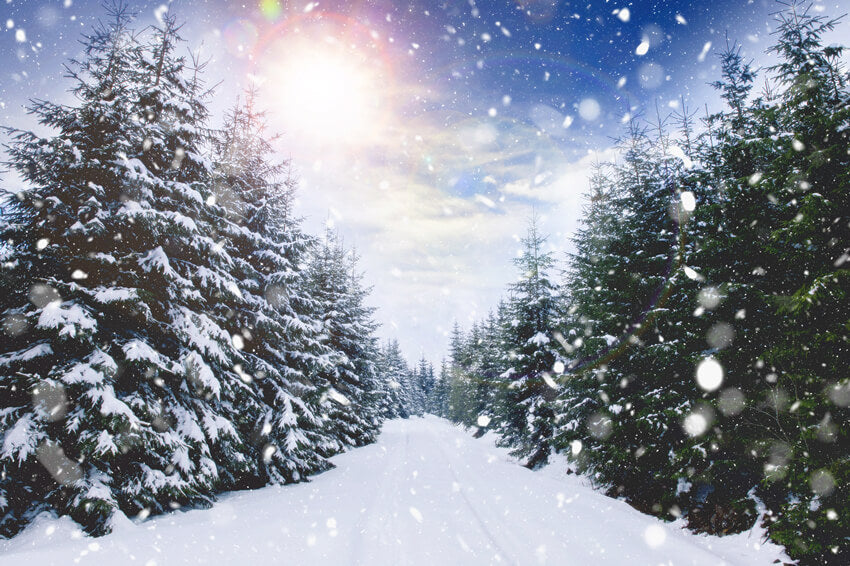 Forêt d'hiver Chute de neige Lumière du soleil Paysage Toile de fond M11-45