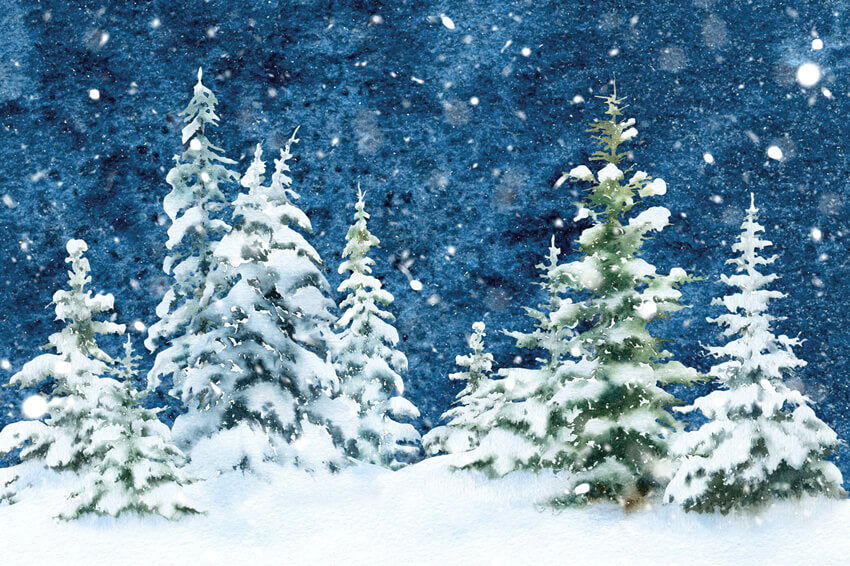 Forêt d'épinettes hivernales Neige Aquarelle Toile de fond M11-46
