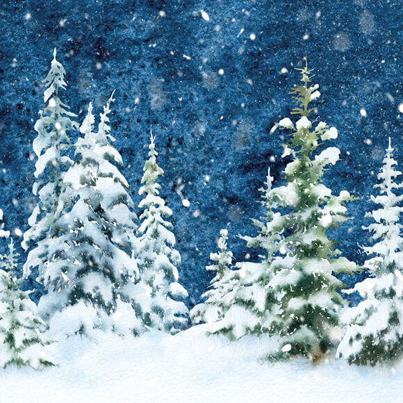 Forêt d'épinettes hivernales Neige Aquarelle Toile de fond M11-46