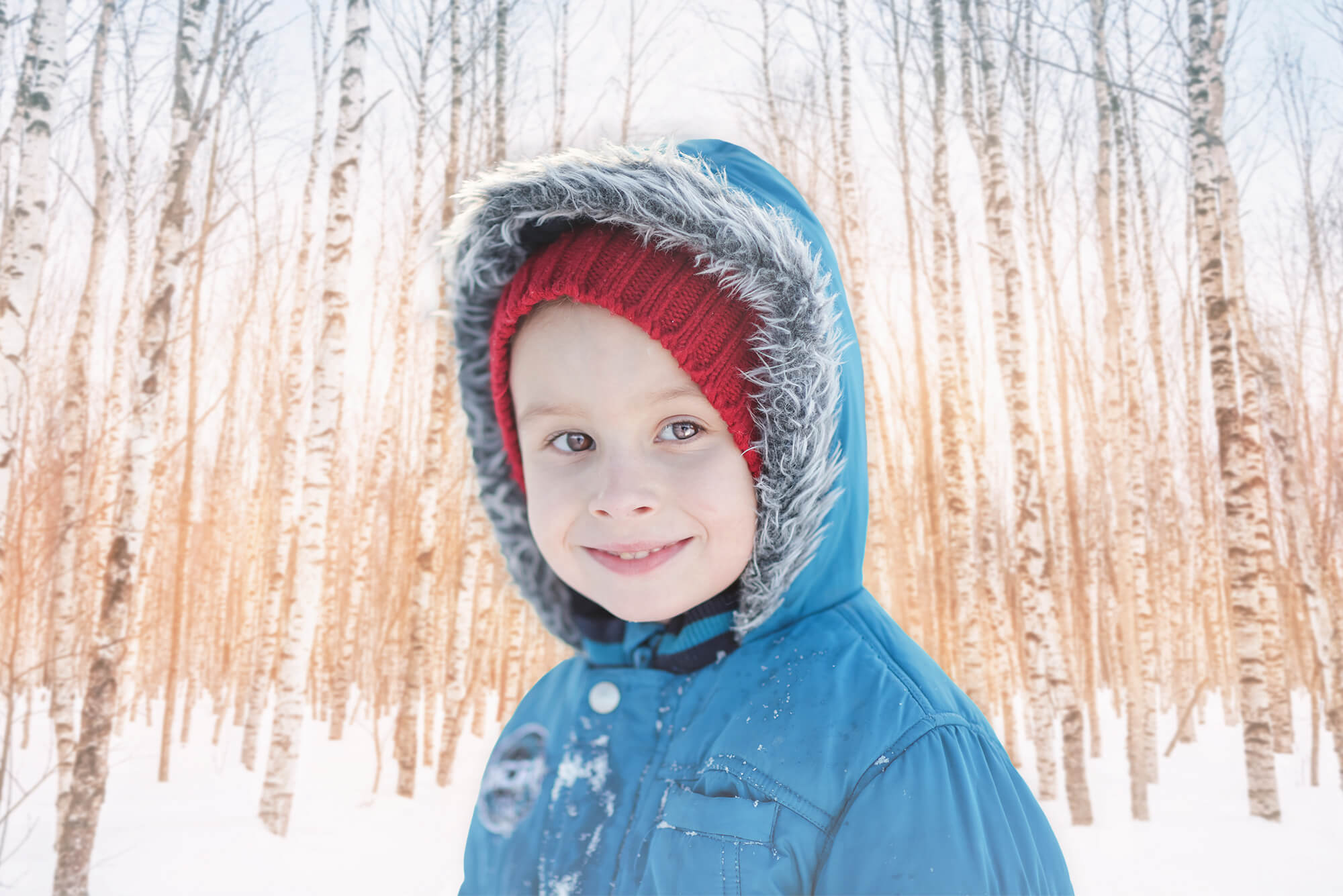 Hiver Neige Parc forestier ensoleillé Toile de fond M11-47