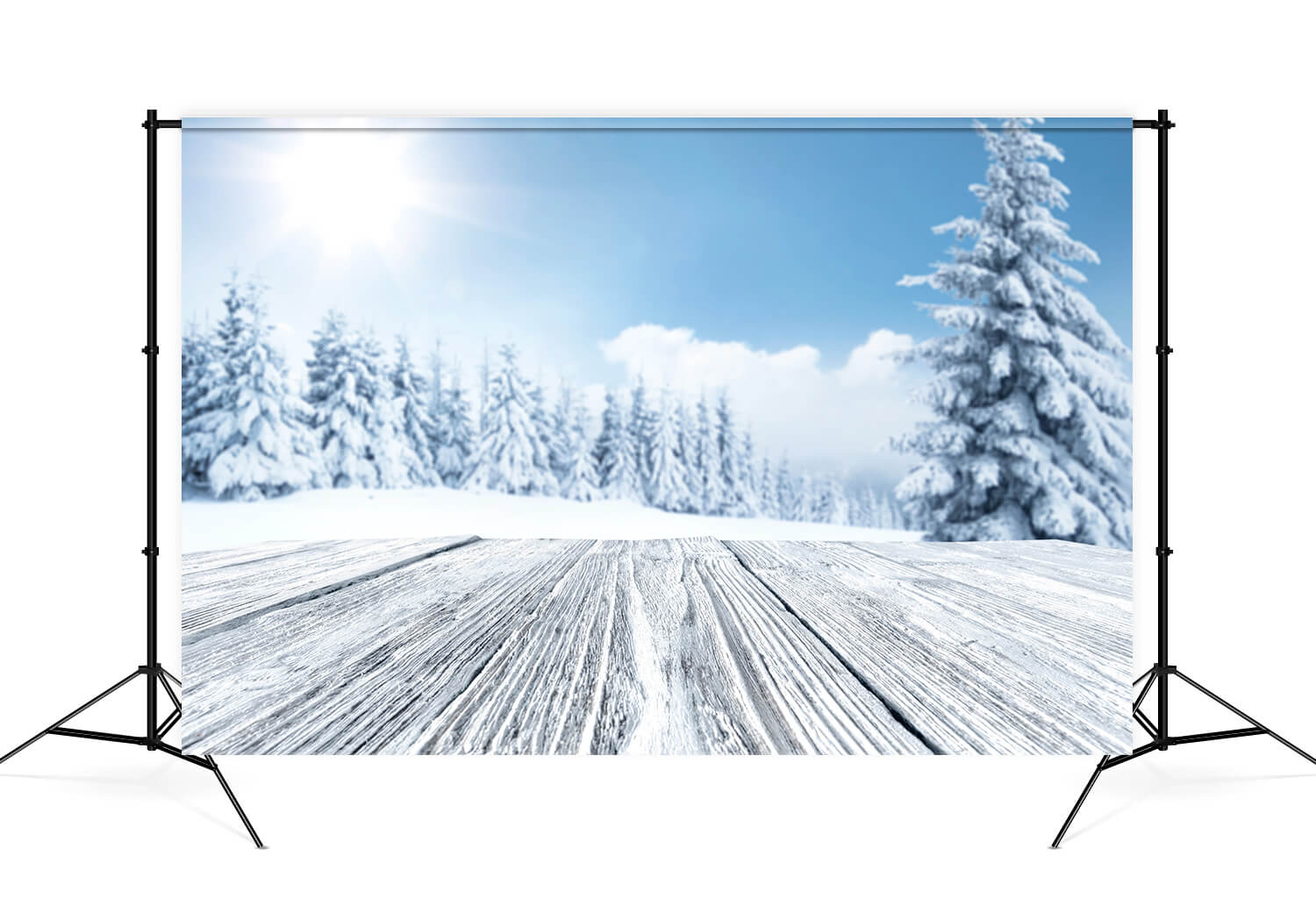 Hiver Arbre enneigé Bois Paysage Toile de fond M11-48