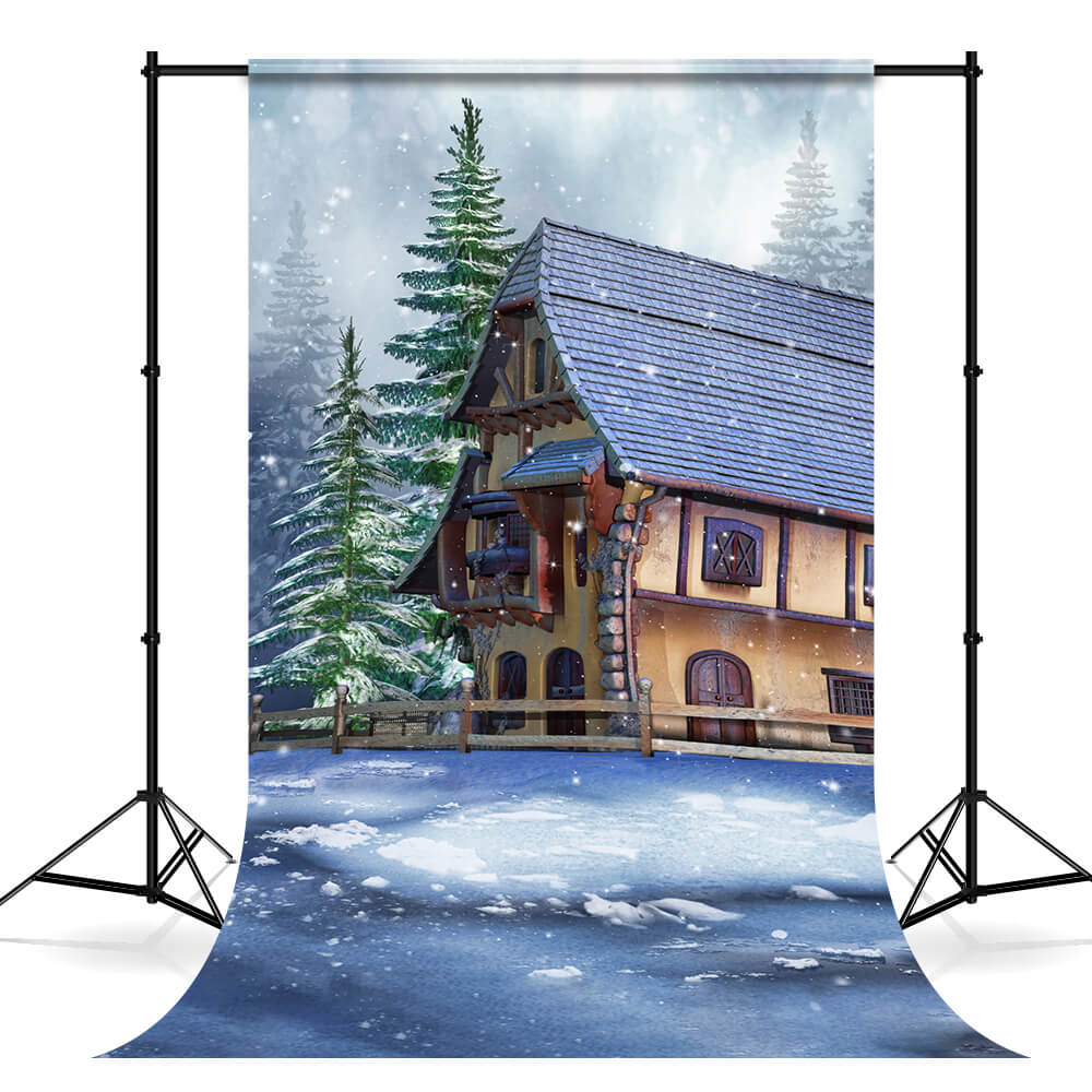 Forêt d'hiver Cabane Neige Toile de fond Photographie M11-50