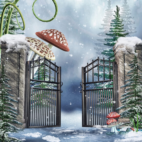 Jardin d'hiver Neige Champignons Géants Toile de fond M11-51