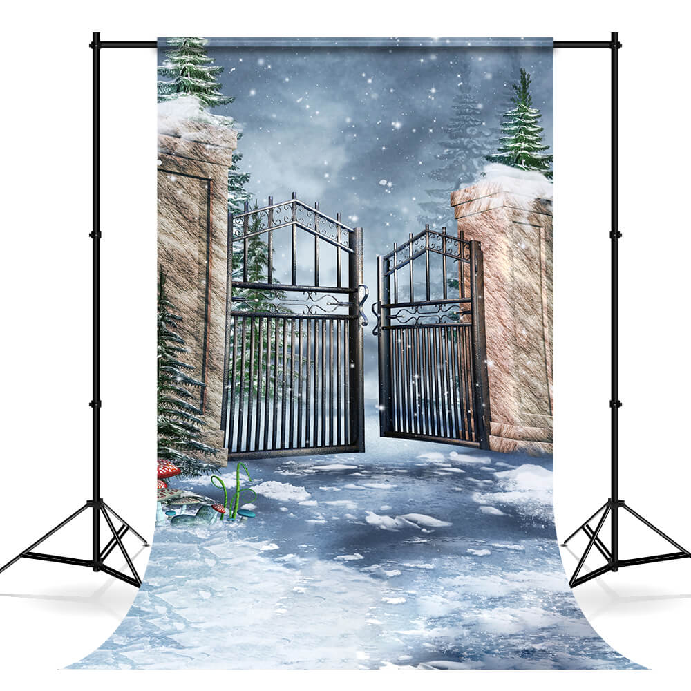 Fantaisie Hiver Porte Neige Forêt Toile de fond M11-52