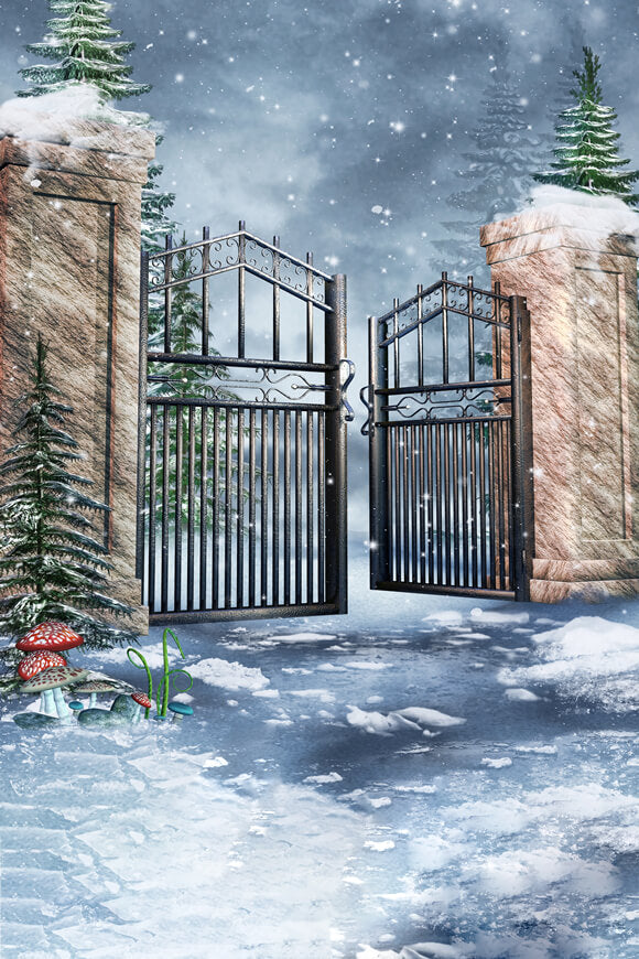 Fantaisie Hiver Porte Neige Forêt Toile de fond M11-52