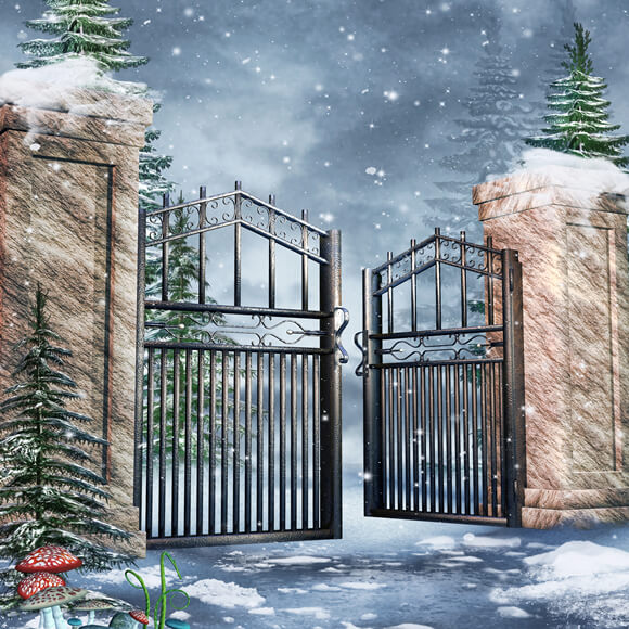 Fantaisie Hiver Porte Neige Forêt Toile de fond M11-52