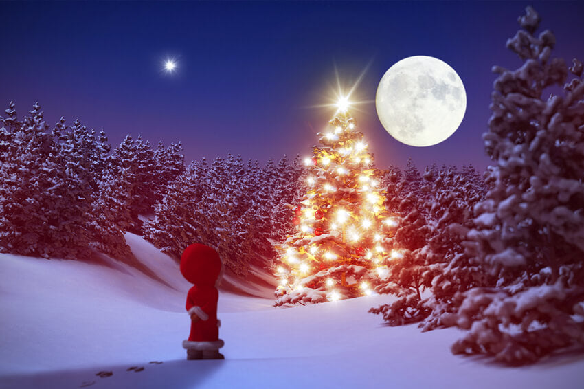 Hiver Forêt Neigeuse Nuit Lune Toile de fond M11-61