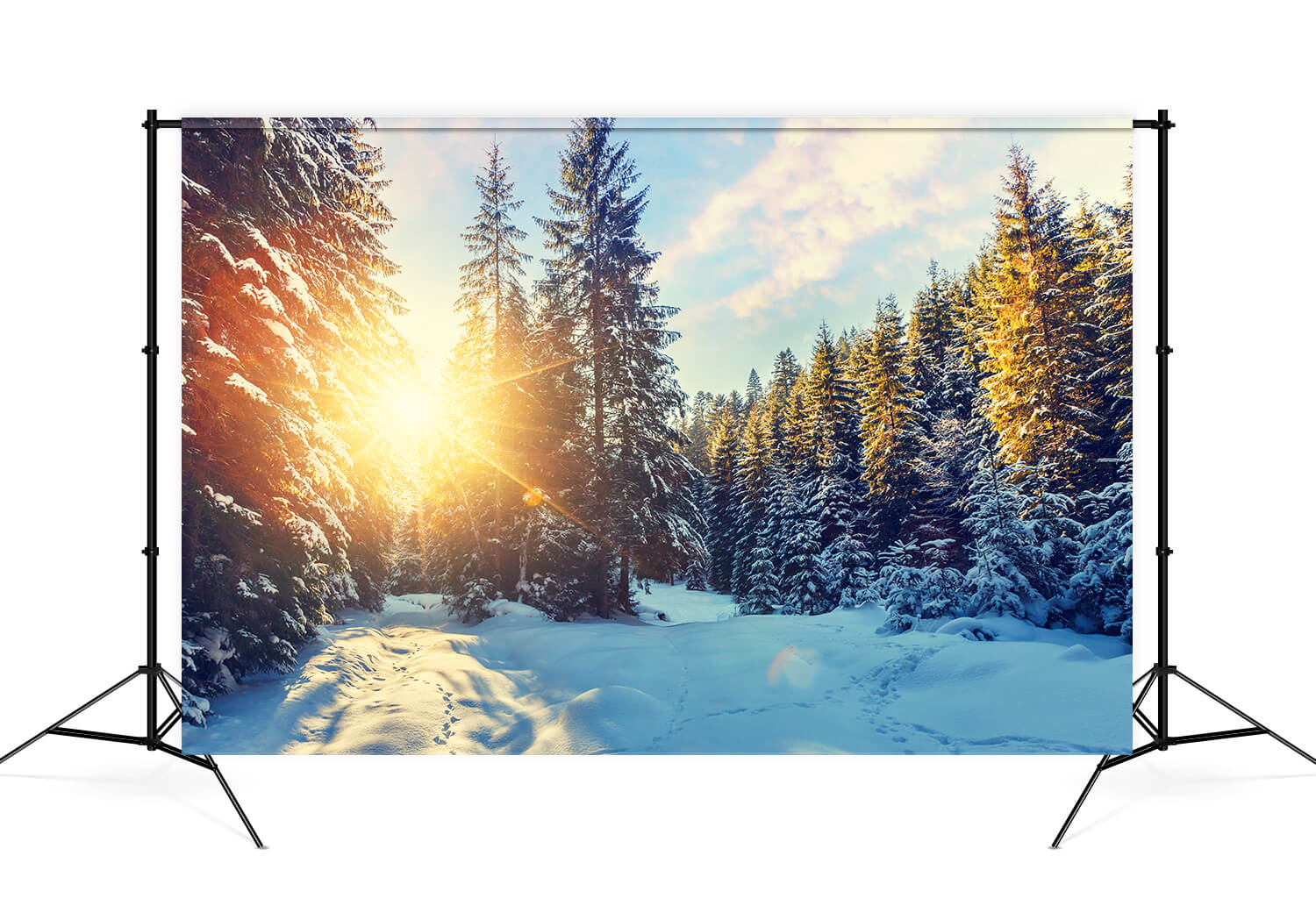 Forêt d'hiver Neige Soleil Scénario Toile de fond M11-63