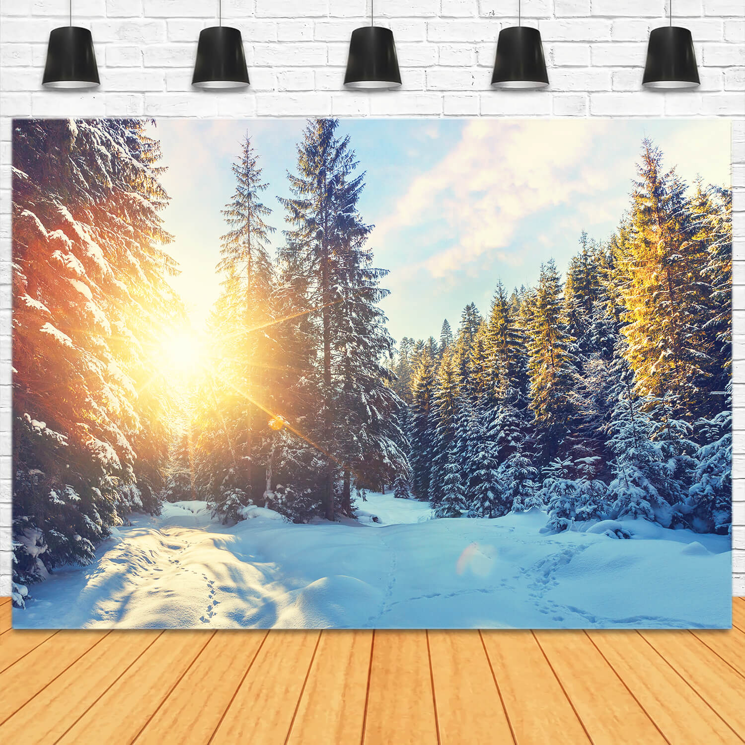 Forêt d'hiver Neige Soleil Scénario Toile de fond M11-63