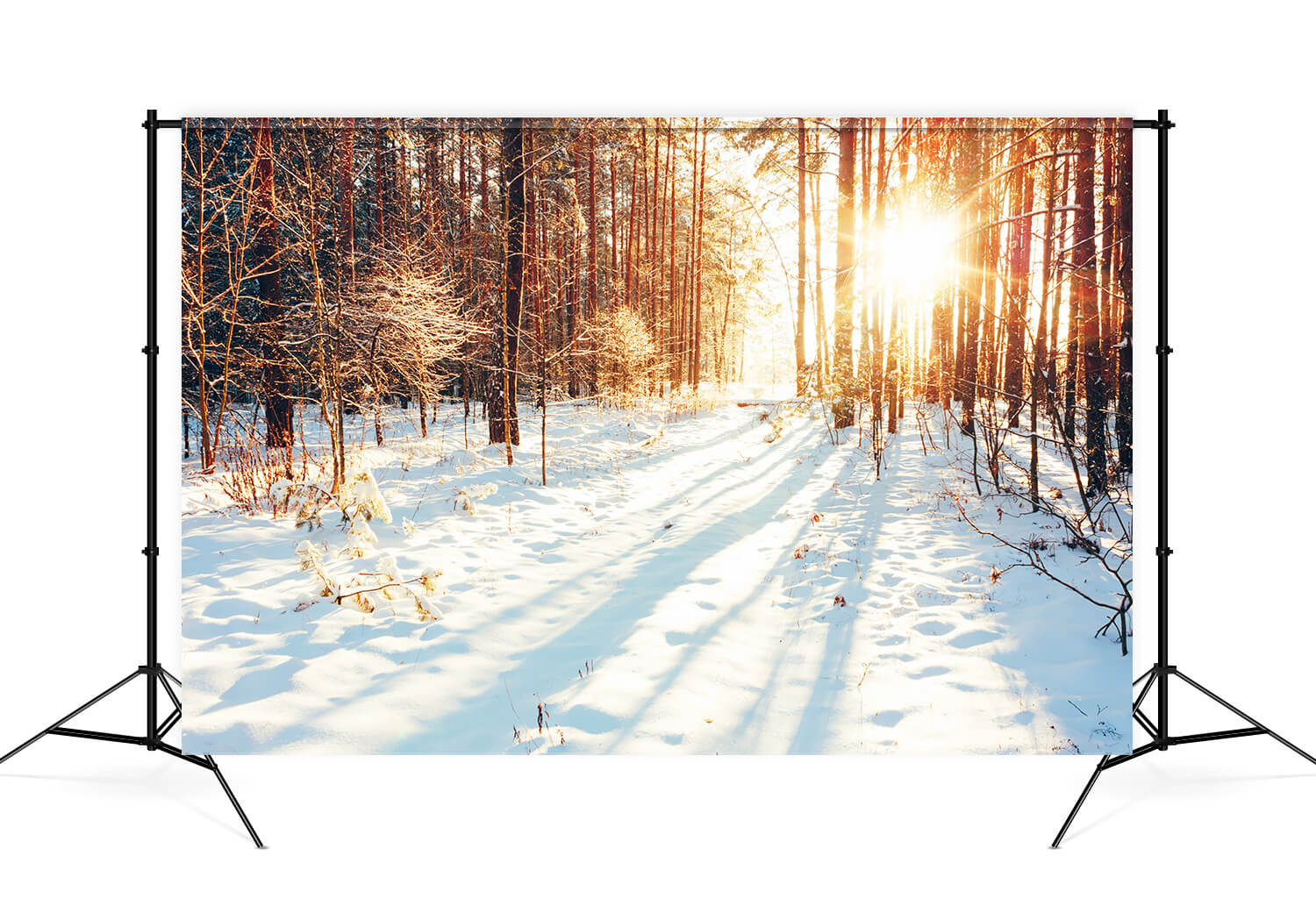 Hiver Chemin forestier Lumière du soleil Neige Toile de fond M11-64