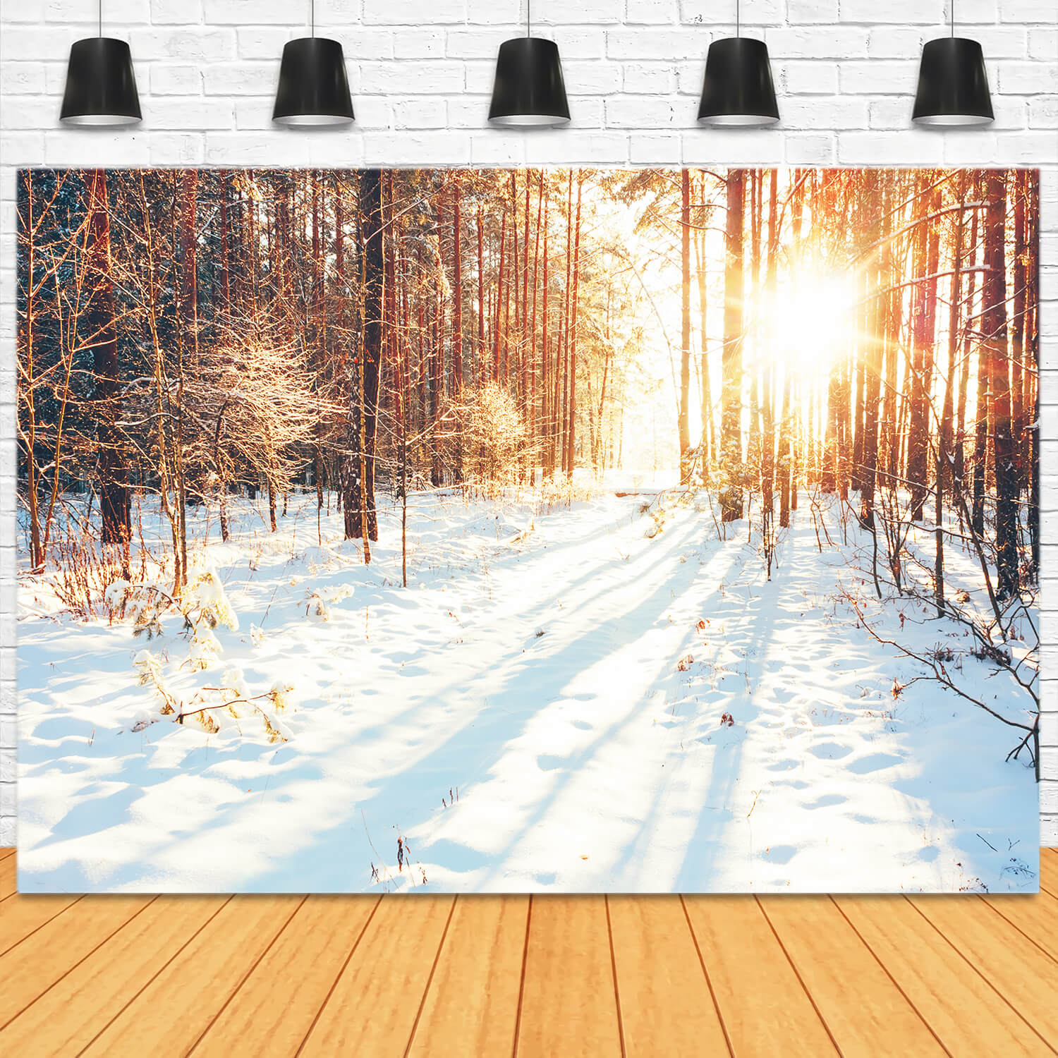 Hiver Chemin forestier Lumière du soleil Neige Toile de fond M11-64