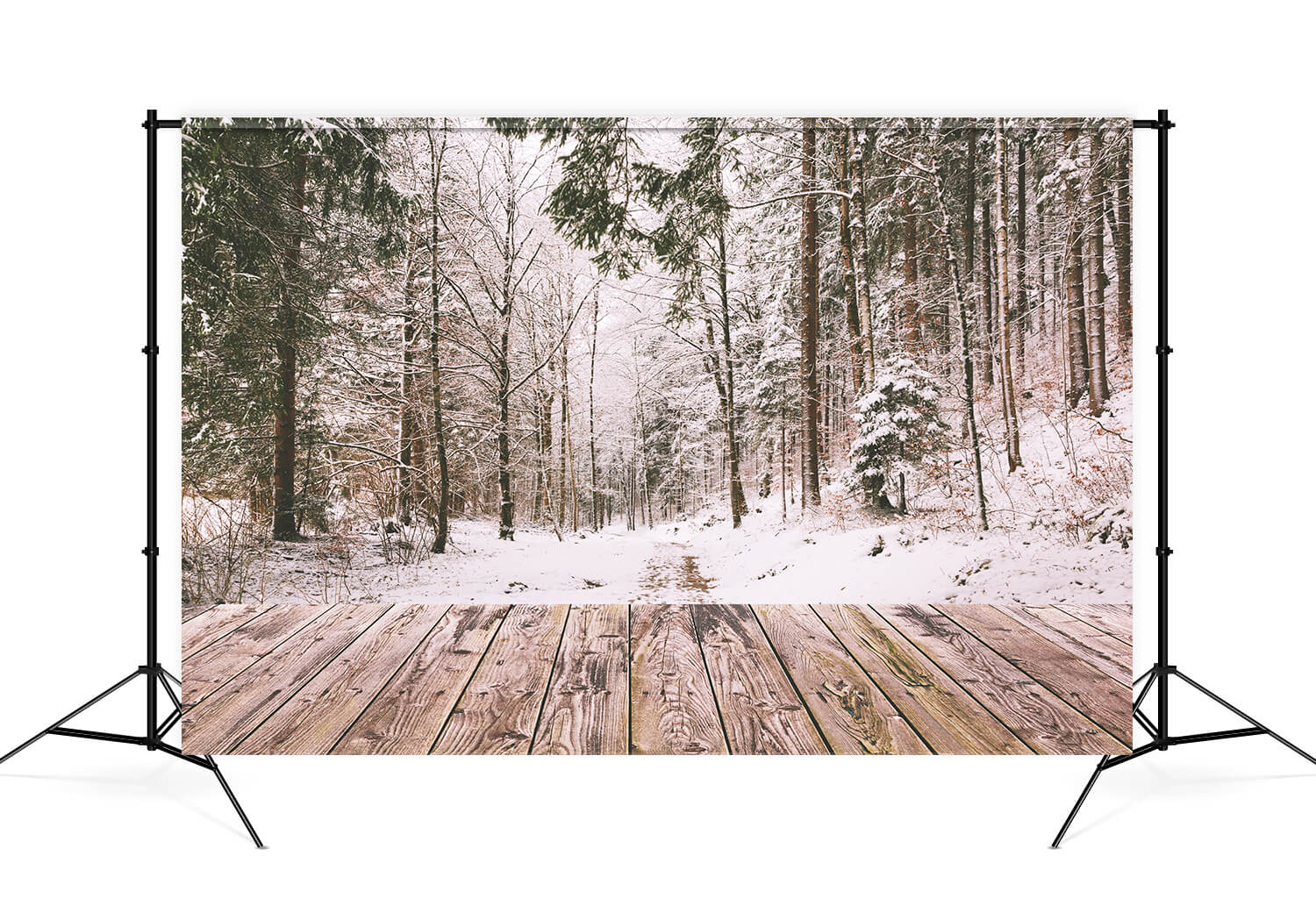 Hiver Neige Forêt Paysage Bois Toile de fond M11-73