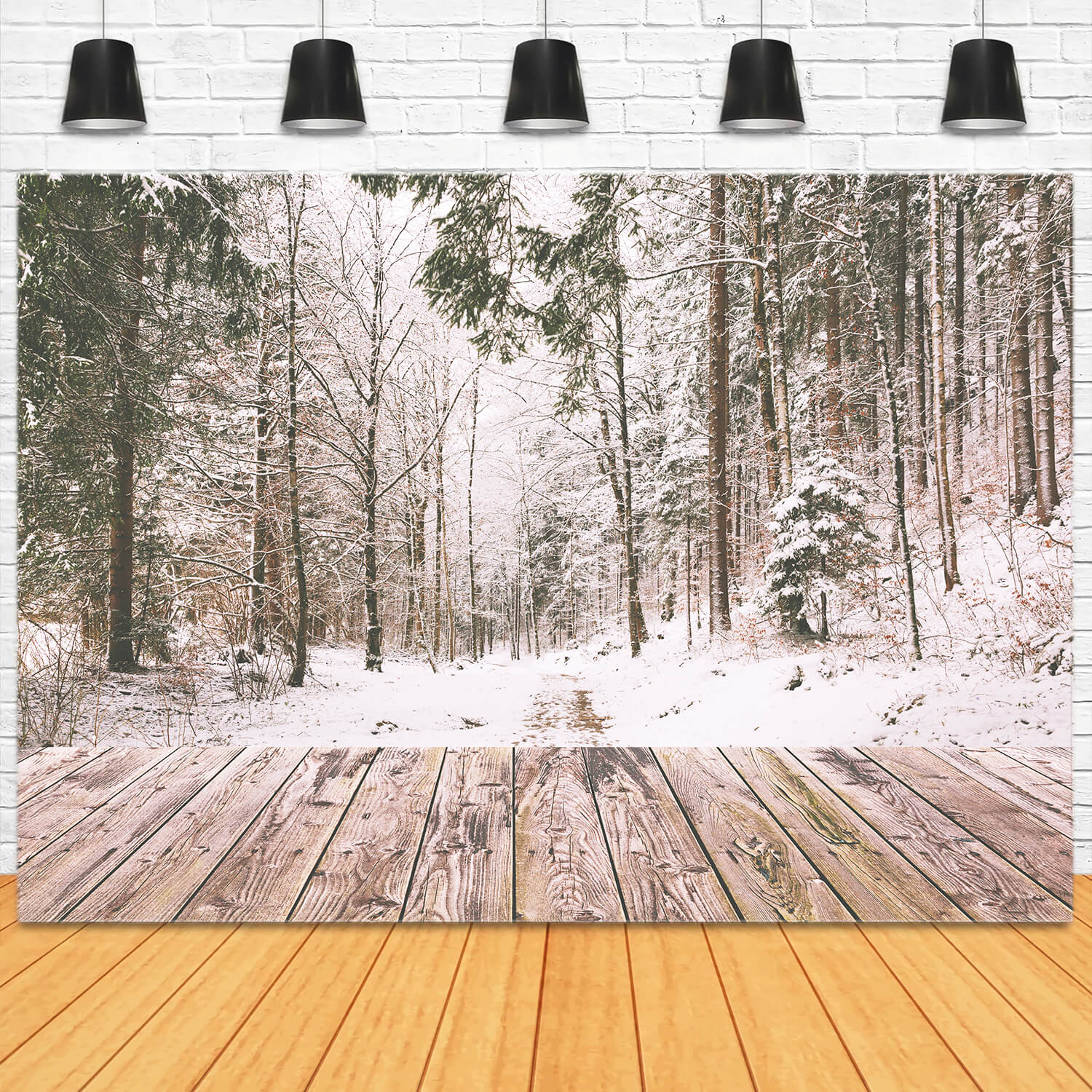 Hiver Neige Forêt Paysage Bois Toile de fond M11-73