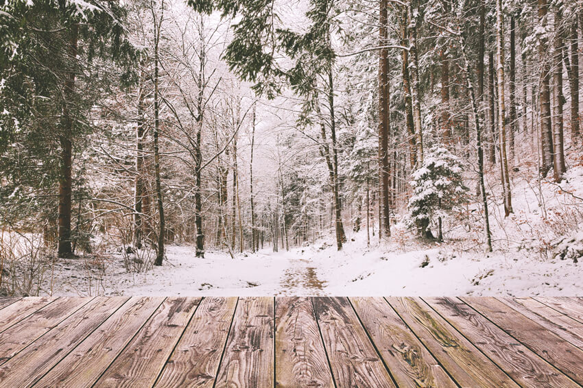 Hiver Neige Forêt Paysage Bois Toile de fond M11-73