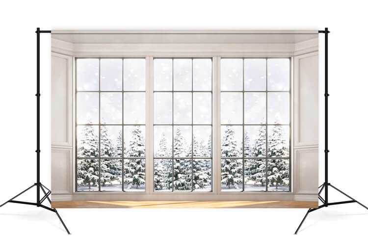 Hiver Neige Jour Fenêtre Verre Houx Arbre Toile de fond M12-01