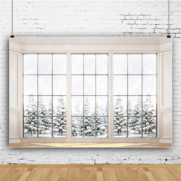 Hiver Neige Jour Fenêtre Verre Houx Arbre Toile de fond M12-01