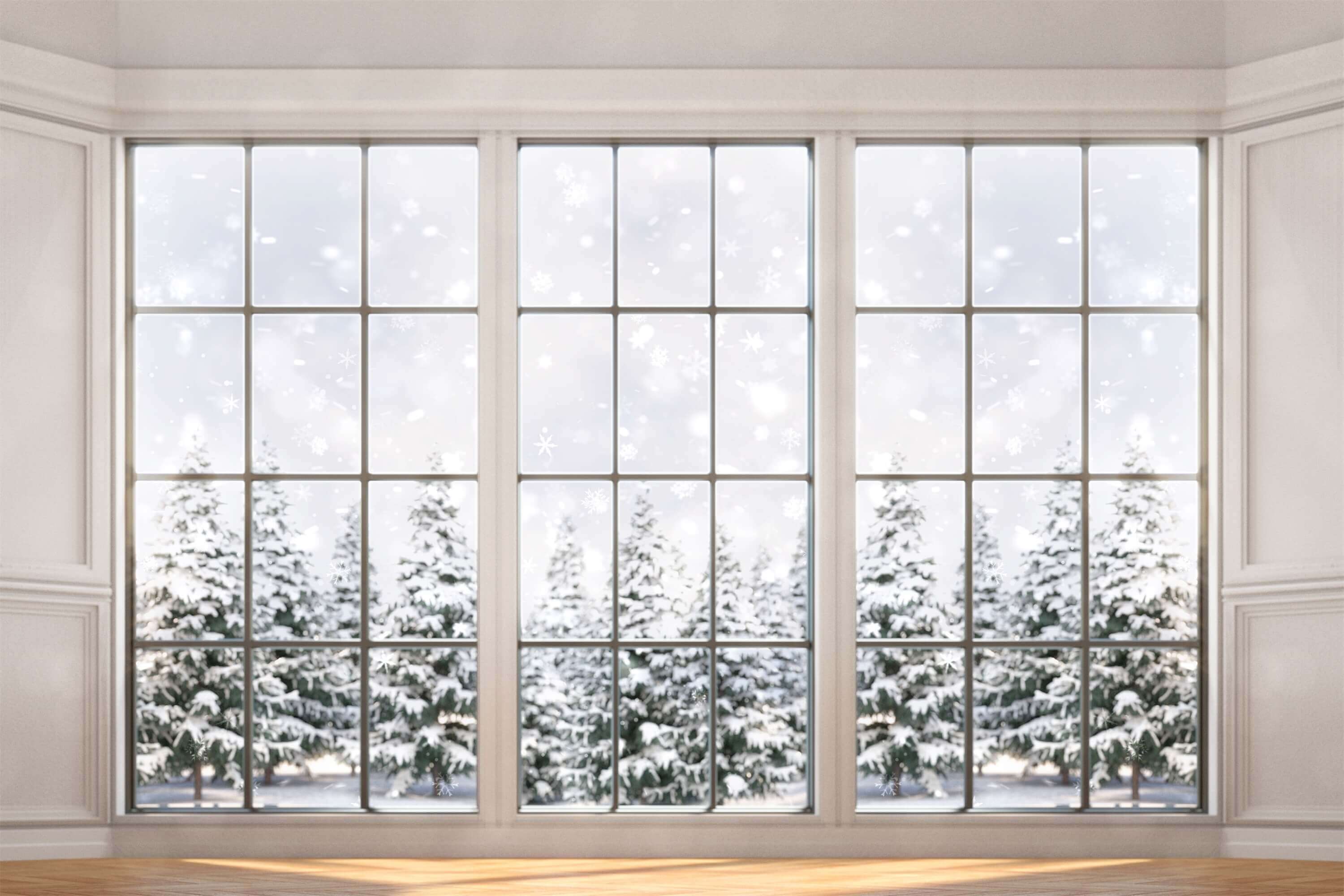 Hiver Neige Jour Fenêtre Verre Houx Arbre Toile de fond M12-01