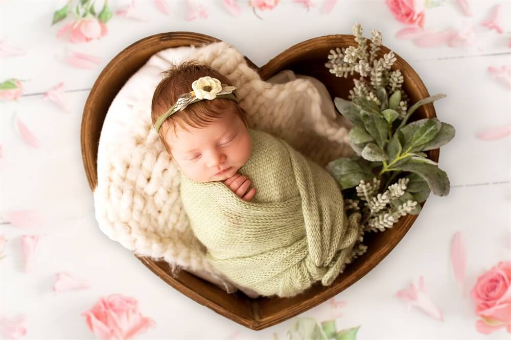 Valentine Roses Pétales éparses Sol blanc Toile de fond romantique M12-10