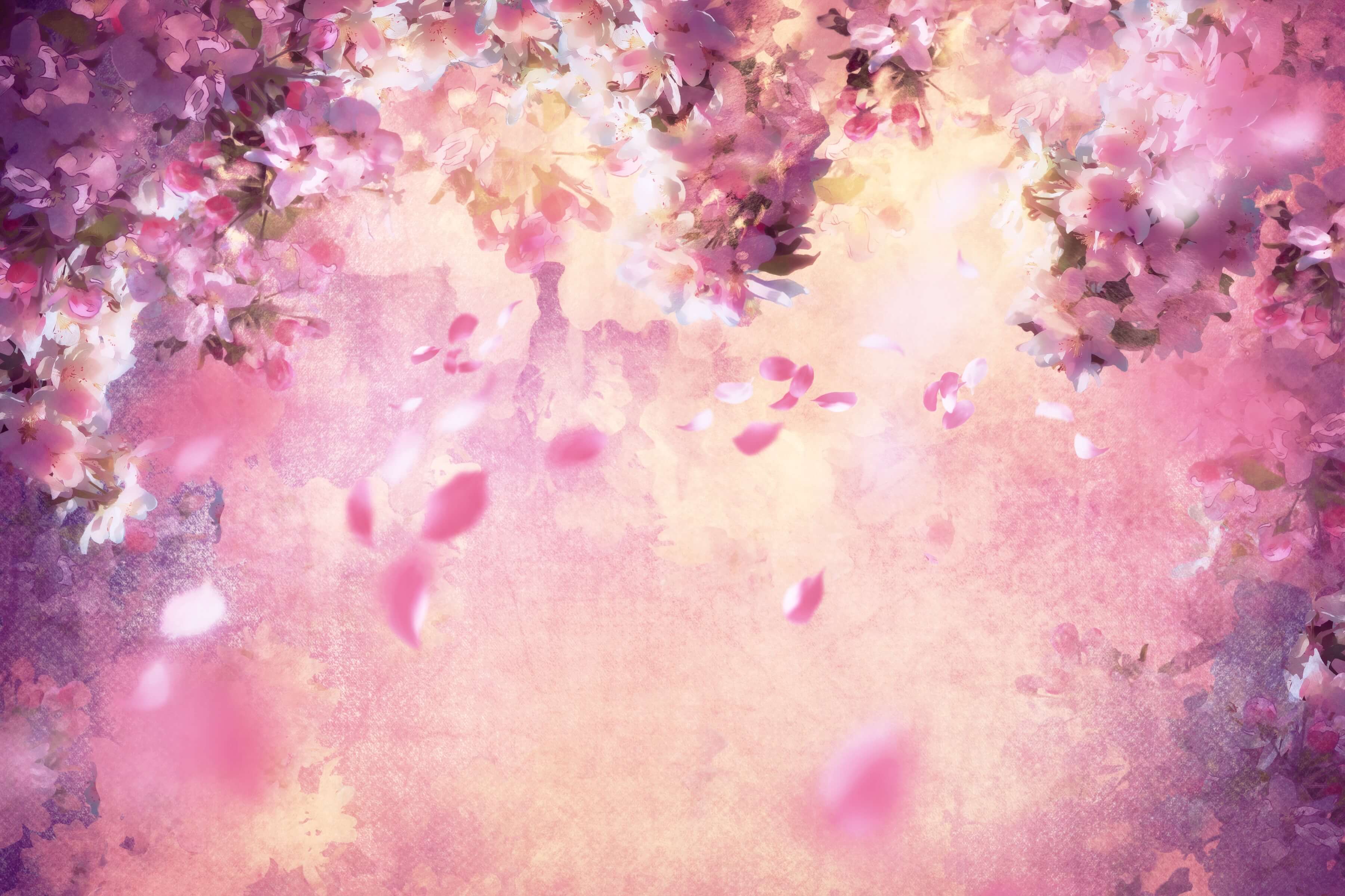 Peinture à l'huile Rêve Fleur Rose Pétales d'Arbre en Chute Toile de fond M12-33