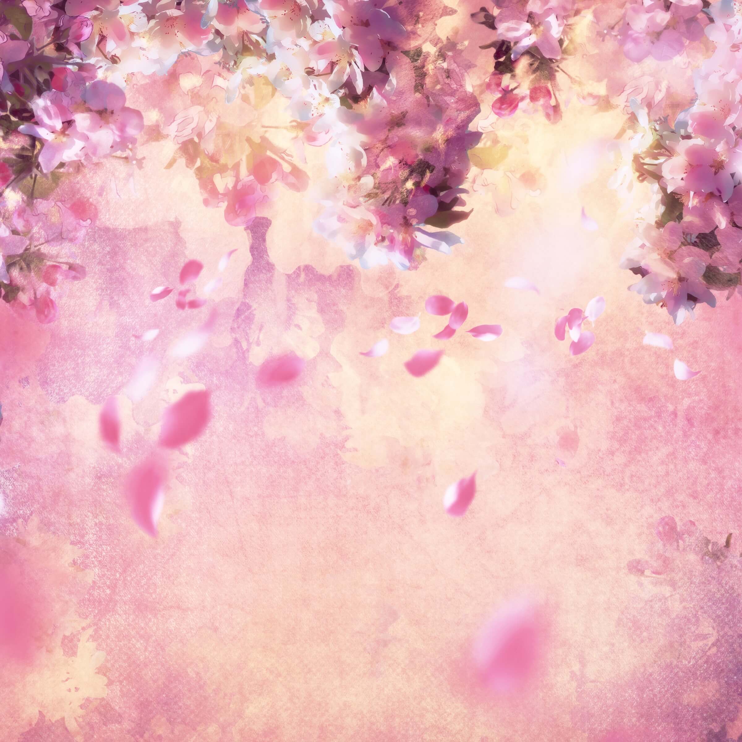 Peinture à l'huile Rêve Fleur Rose Pétales d'Arbre en Chute Toile de fond M12-33