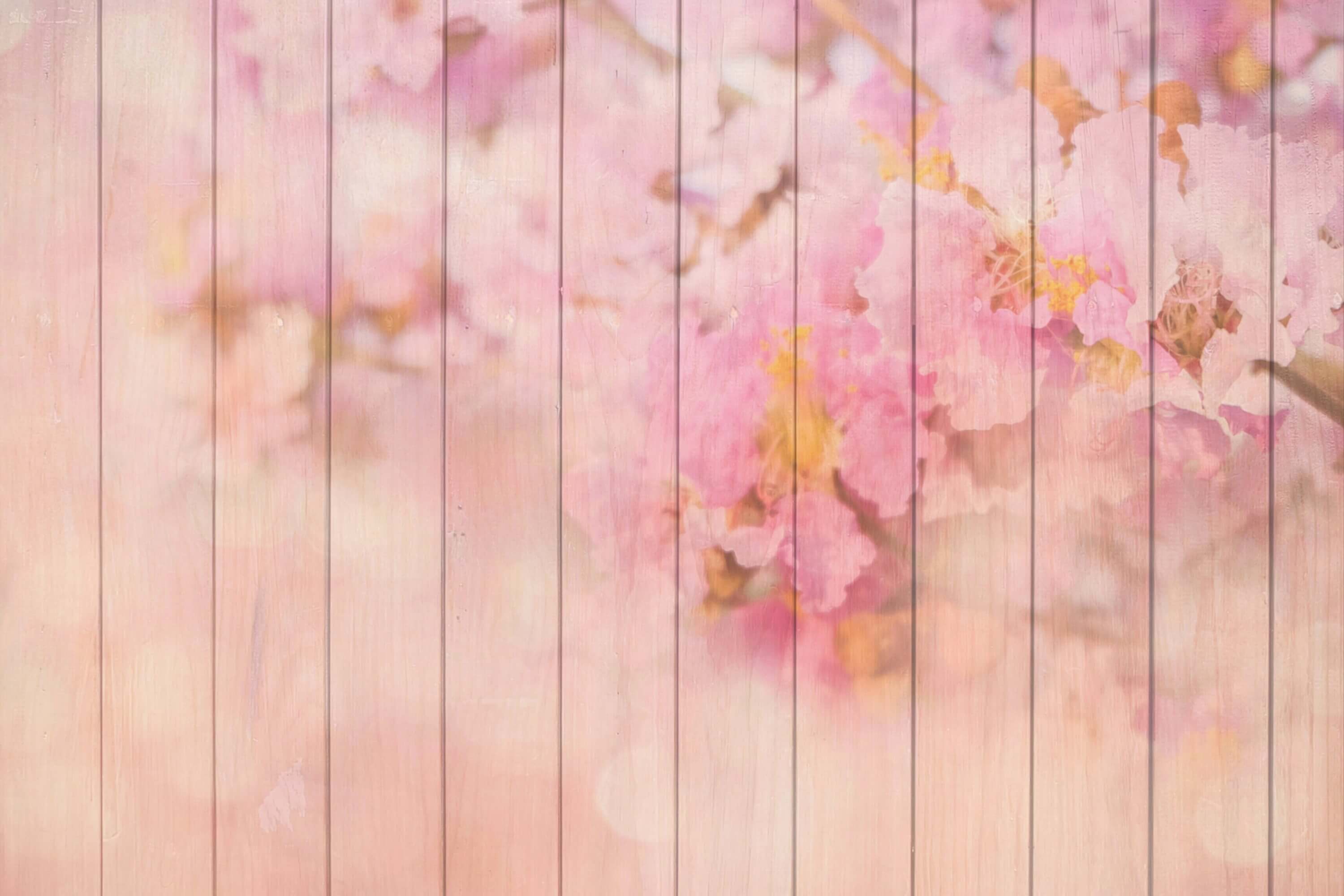 Scène Florale Rose Clair Dispersée Plancher en Bois Toile de fond M12-44
