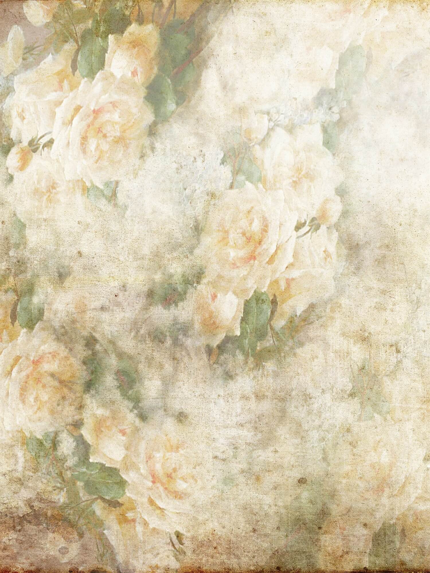 Pliable Elégant Rose Vintage/Rosebud Jaune Pâle Double Face Toile de fond M12-49