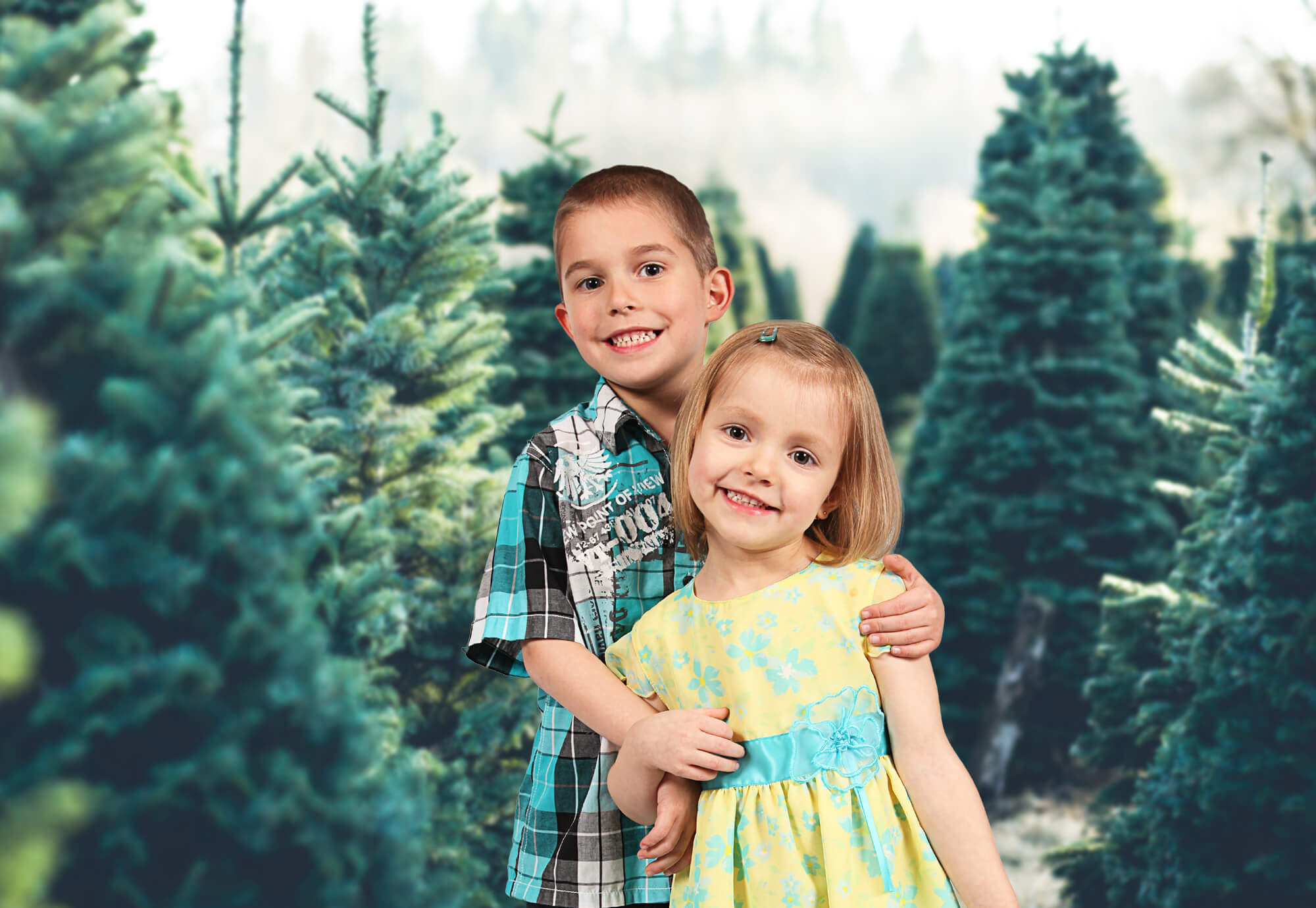 Toile de fond sapin forêt matin coucher de soleil M2-15