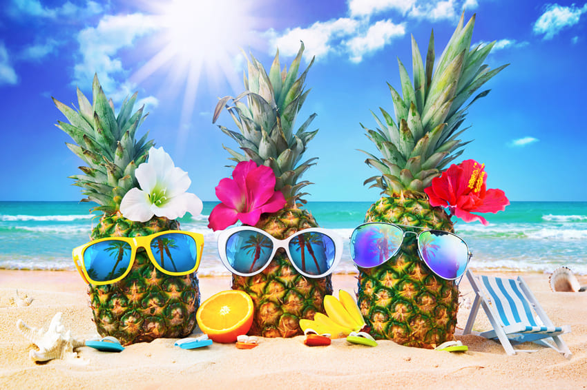 Ananas Plage Été Photographie Toile de Fond M5-125