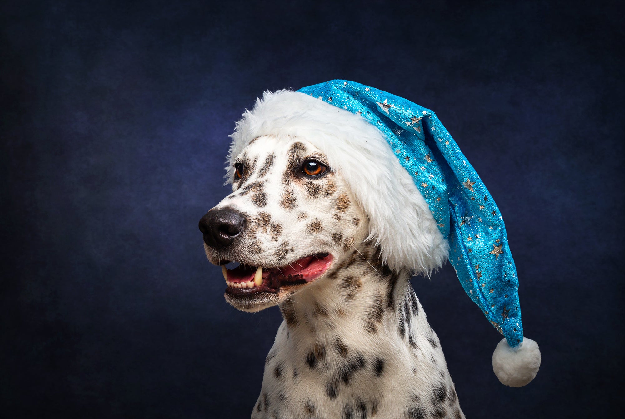 Fond de Photomaton Abstrait Bleu Foncé M5-147