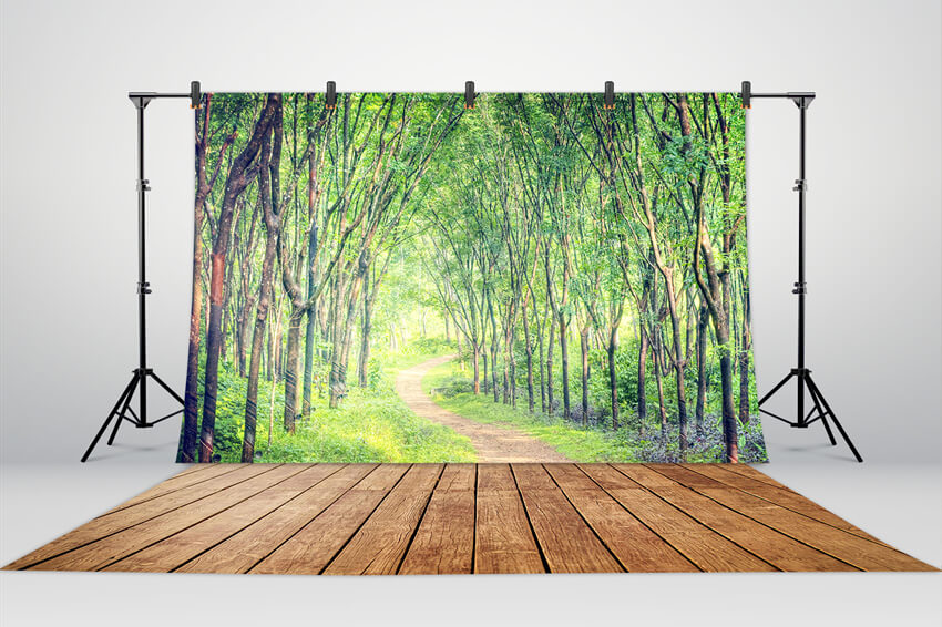 Arbres de la Voie Forestière Toile de Fond de Plancher en Bois M5-161