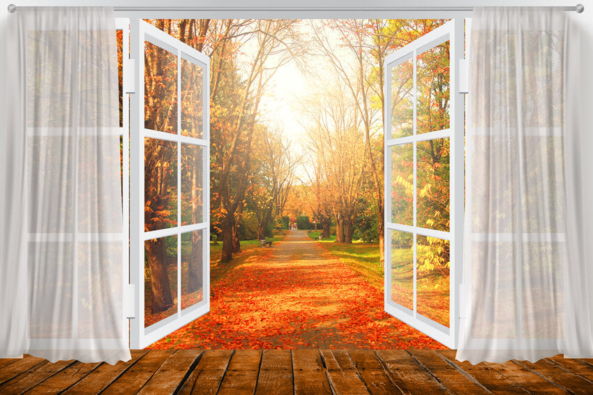 Automne Fenêtre Vue Feuilles D'érable Toile de Fond M6-101