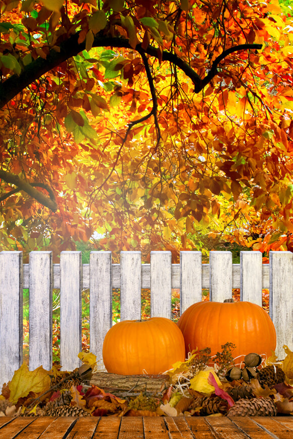 Feuilles D'érable Clôture Citrouilles Toile de Fond D'automne M6-103