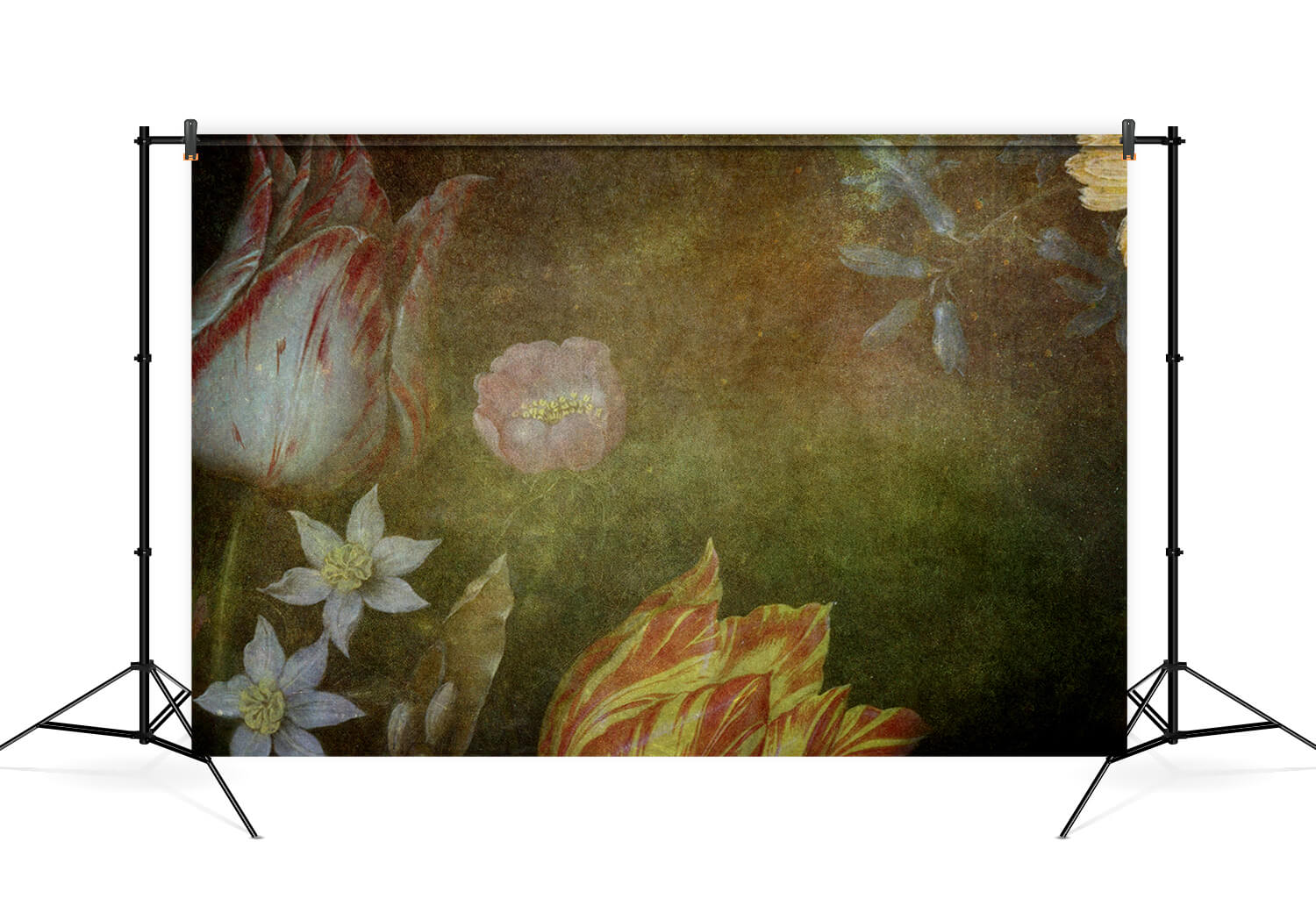 Toile de Fond de Photographie de Fleurs Abstraites Vintage M6-107