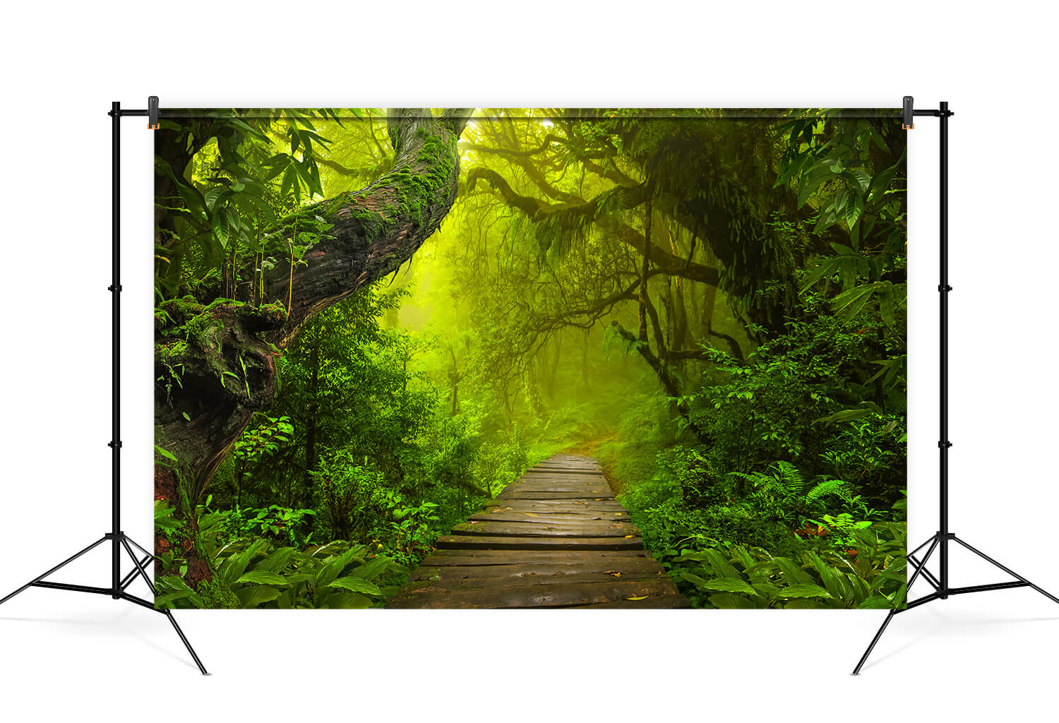 Toile de Fond de Photographie de Jungle de Forêt Tropicale Humide M6-120