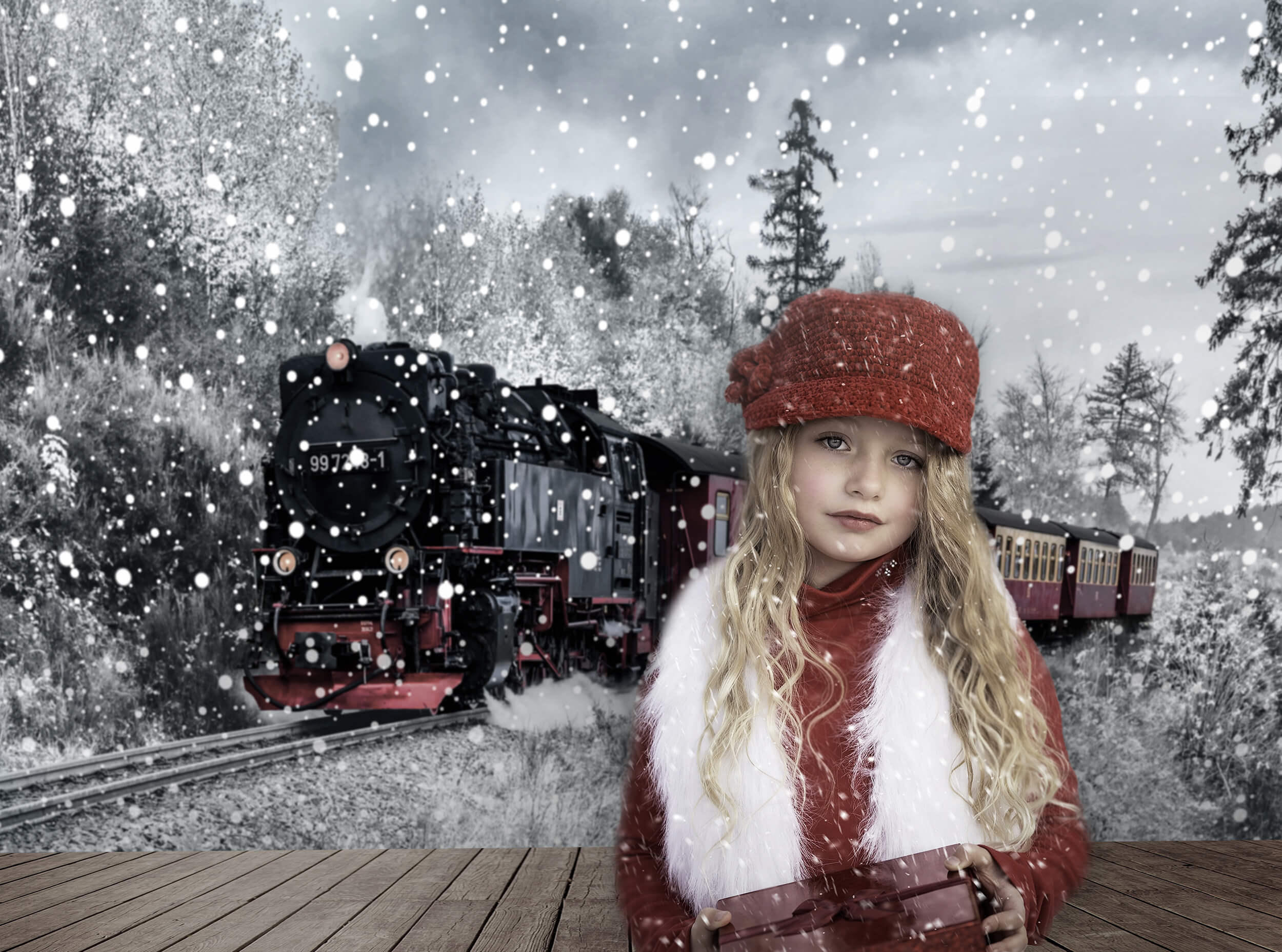 Toile de Fond de Train de Paysage de Montagne de Neige D'hiver M6-138