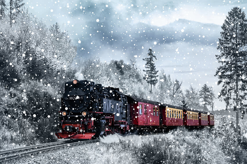Toile de Fond de Train de Paysage de Montagne de Neige D'hiver M6-138