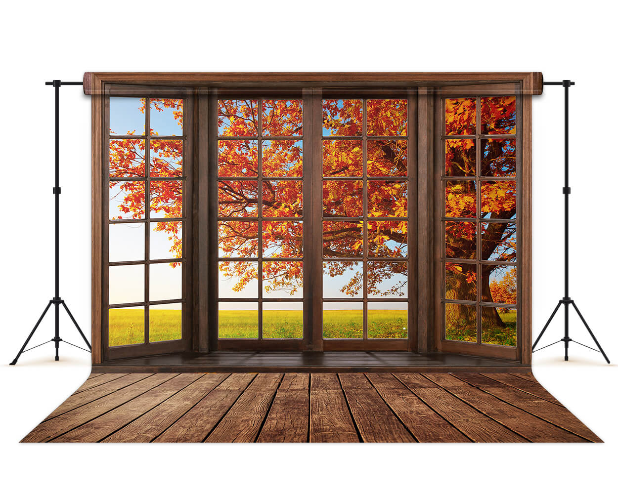 Automne Marple Feuilles Fenêtre Vue Toile de Fond M6-40