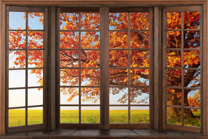 Automne Marple Feuilles Fenêtre Vue Toile de Fond M6-40