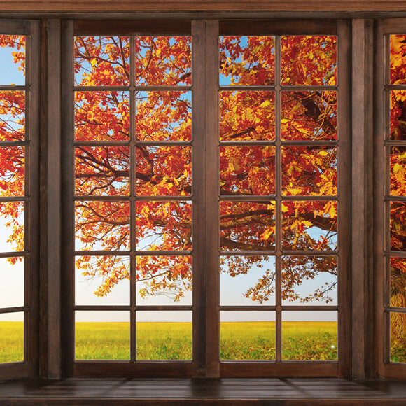 Automne Marple Feuilles Fenêtre Vue Toile de Fond M6-40